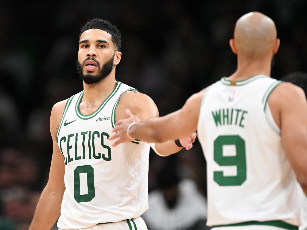 正在积蓄新 正在积蓄新